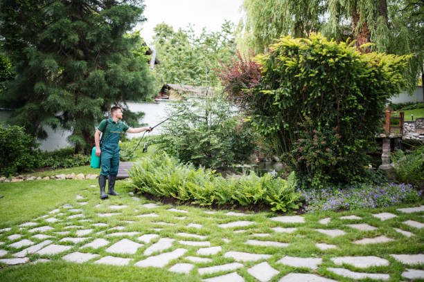 Professional Pest Control in Kirkland, IL